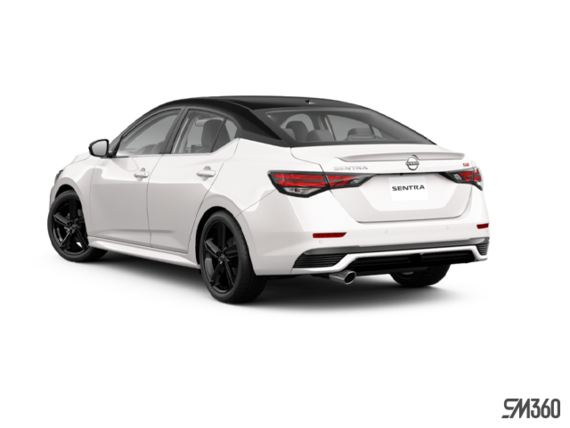 Noir intense/Blanc d'Aspen