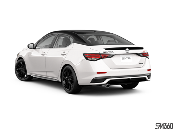 Noir intense/Blanc d'Aspen