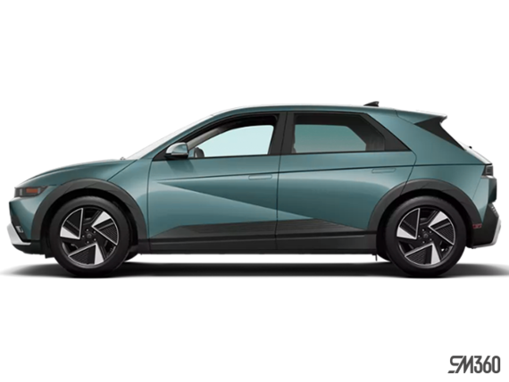 Sarcelle électro perlé