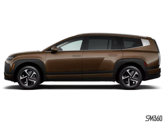 Brun coucher de soleil