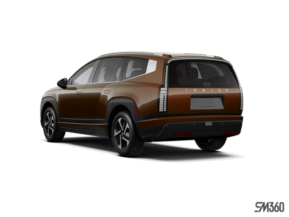 Brun coucher de soleil