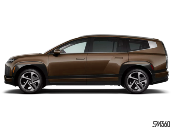 Brun coucher de soleil