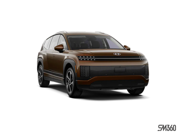 Brun coucher de soleil