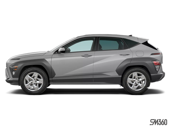 Cyber gris métallisé