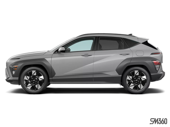 Cyber gris métallisé