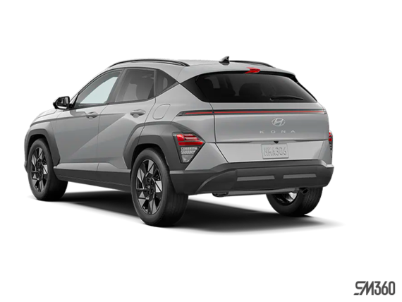 Cyber gris métallisé