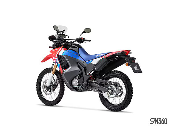 Honda CRF300L ABS Rally 2025 - photo 15