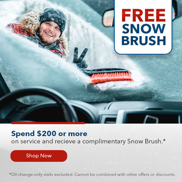 Free Snow Brush