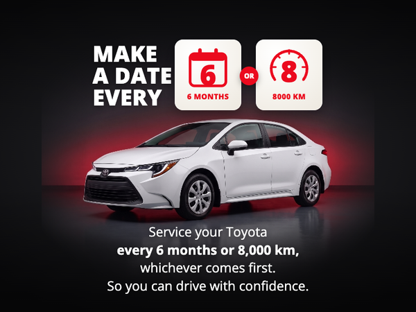 Schedule 6-Month Service
