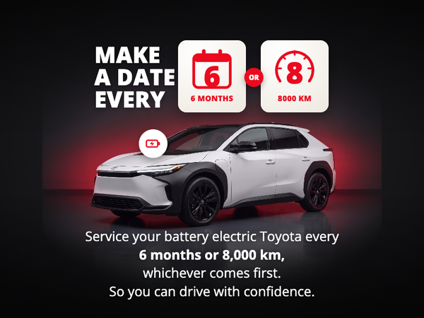 EV Maintenance Schedule