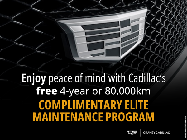 Complementary Elite Maintenance Program