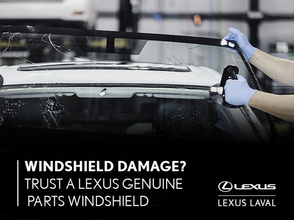 Lexus Windshield