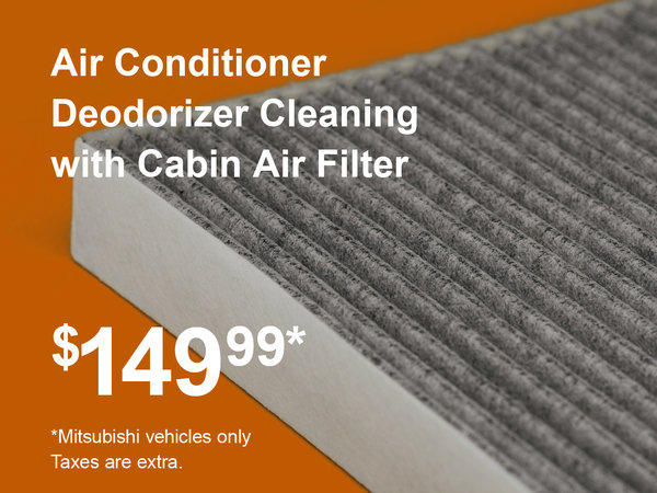 A/C & Cabin Air Filter
