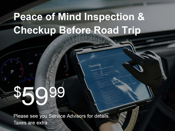 Peace of Mind Inspection Special
