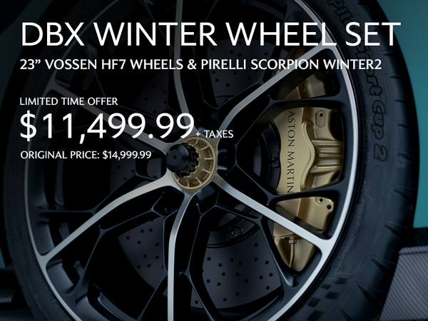 DBX Winter Wheel Set