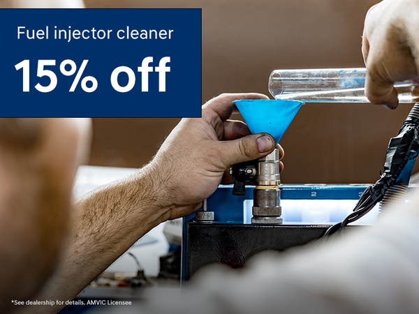 Fuel injector cleaner 15% OFF