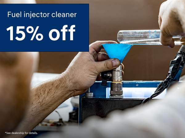 15% OFF Fuel injector cleaner
