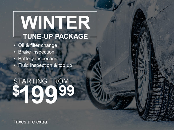 Winter Tune-Up Package Special