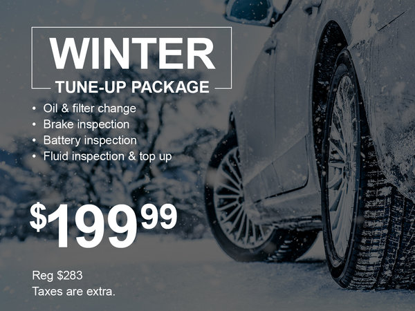 Winter Tune-Up Package Special