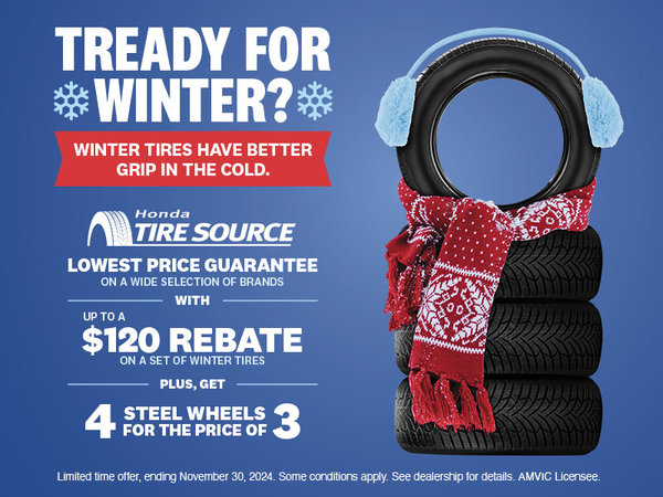 Winter Tire