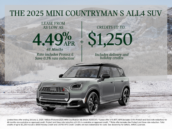 2025 Countryman S