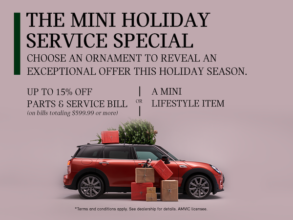 The MINI Holiday Service Special