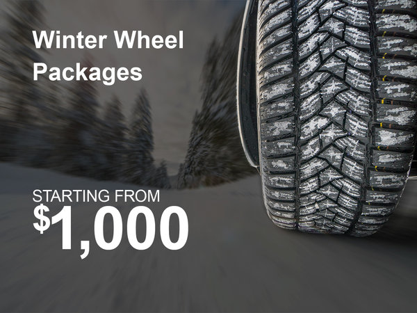 Winter Wheel Packages Special