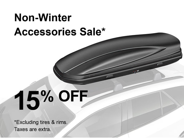 Non-Winter Accessories Special