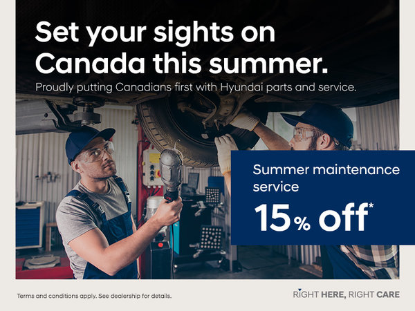 15% Off Summer maintenance service