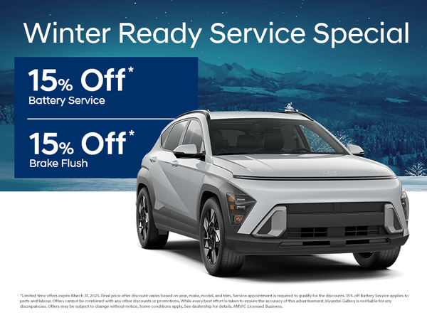 Winter Ready Service Special