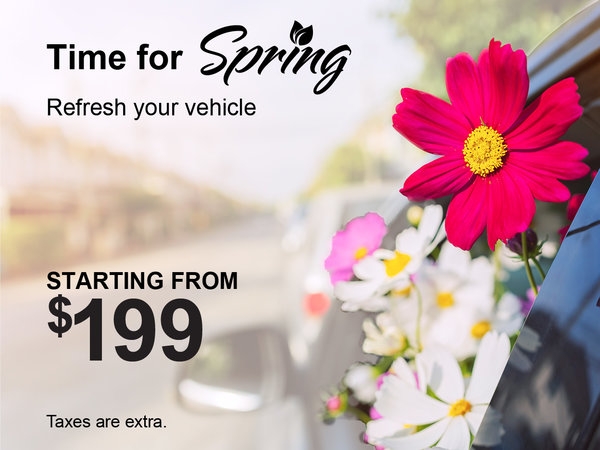 Spring Refresh Special