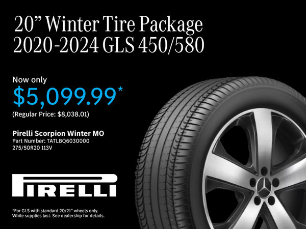 20' Winter Tire Package 2020-2024 GLS 450/580