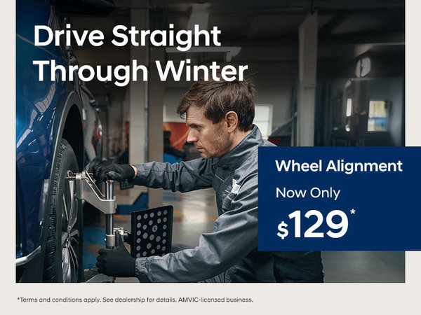 Drive Straight Through Winter