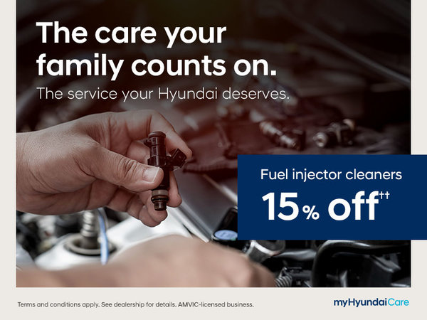 15% Off Fuel Injector Cleaners