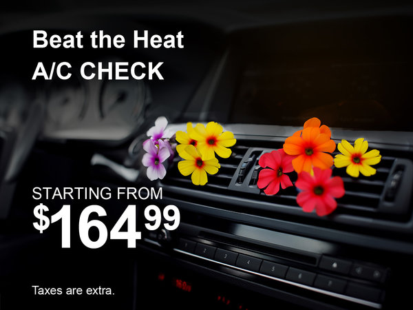 Beat the Heat A/C Special