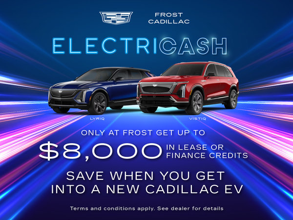 Enjoy Frost ElectriCash