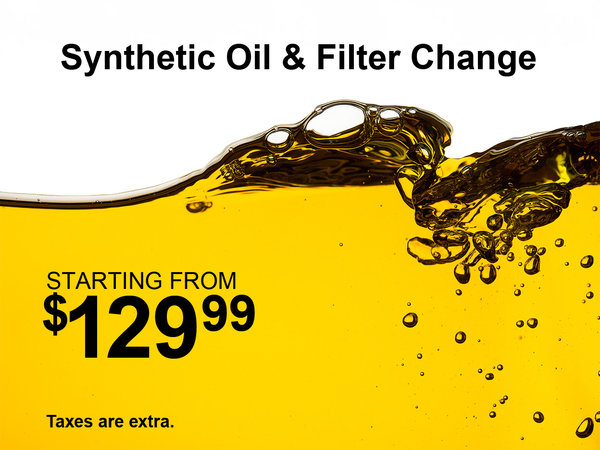 Synthetic Oil & Filter Special