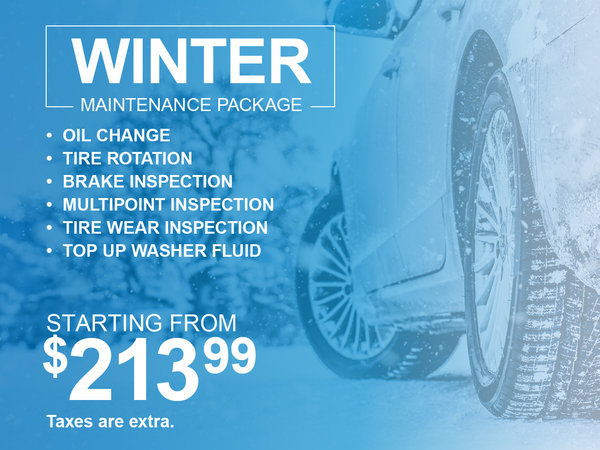 Winter Maintenance Package Special