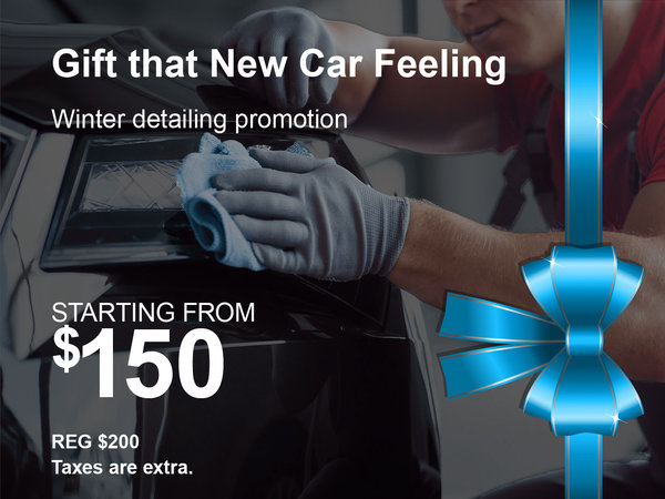 Detailing Service Special