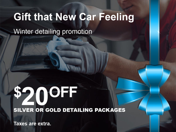 Detailing Service Special