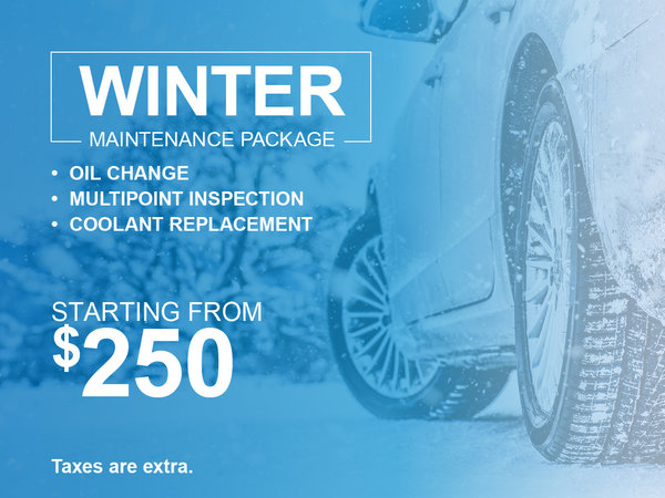 Winter Maintenance Package Special
