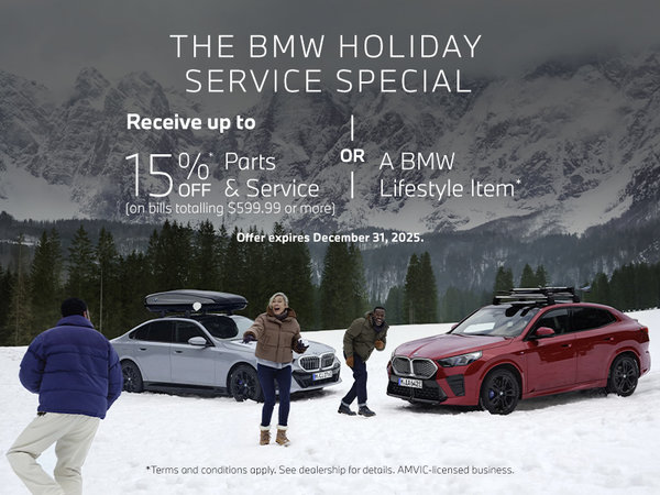 BMW Holiday Service Special