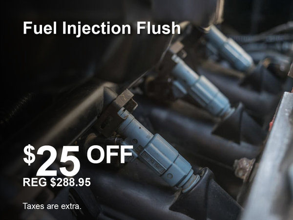 Fuel Injection Flush Special