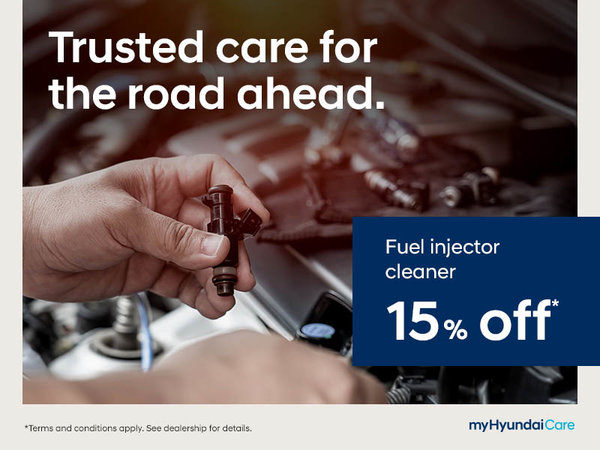 Fuel Injector Cleaner 15% Off