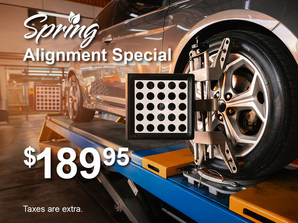 Spring Alignment Special