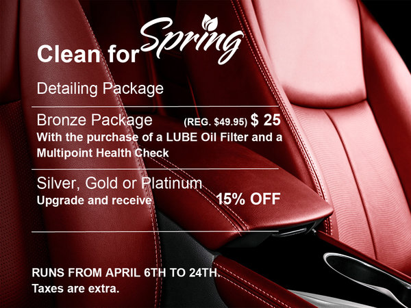 LOF + Multipoint Health Check - Detailing Special