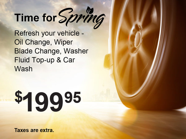 Time for Spring Special