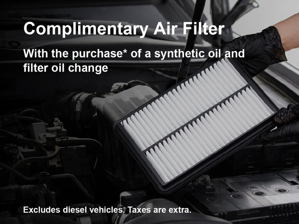 Oil Service with Air Filter Special
