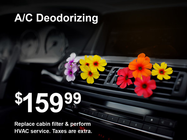 A/C Deodorizing Special