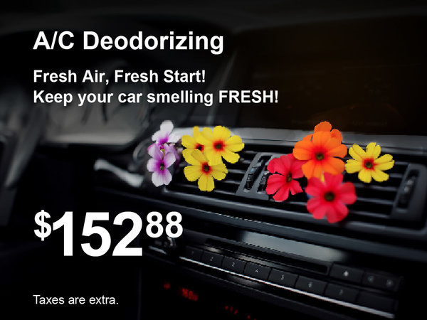 A/C Deodorizing Special